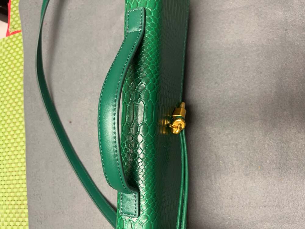 Green Faux Snakeskin Crossbody Bag with Gold Tone Hardware - Picture 2 of 6